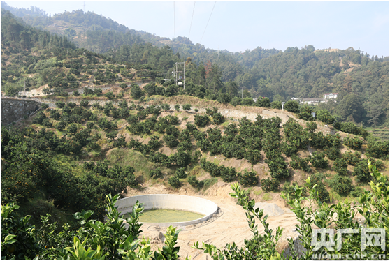 天 你知道直播地点是如何选出来的吗？九游会中央台《新橘颂》直播倒计时第4